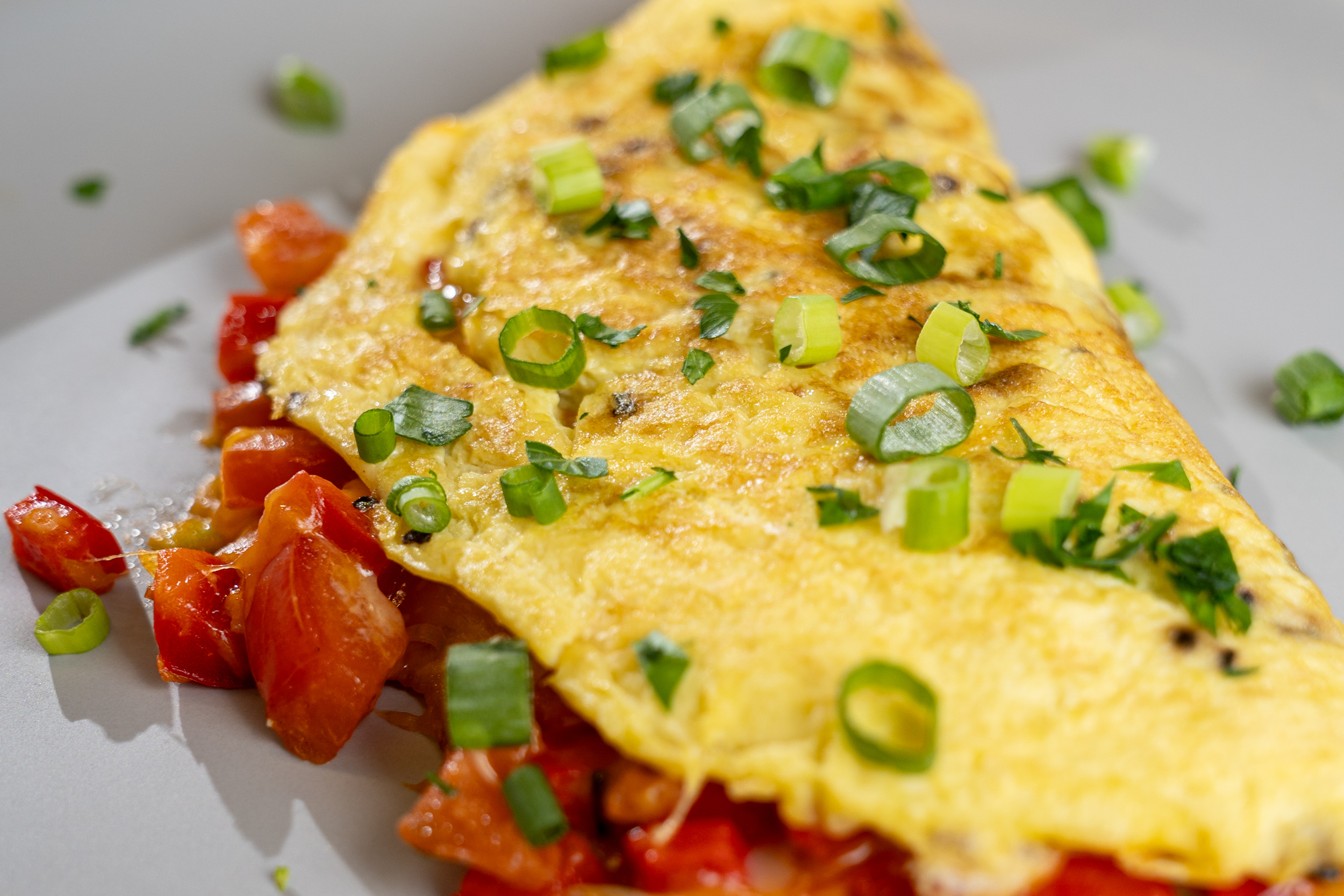 A photo of an omelette stuffed with tomatoes and veggies and topped with green onions.