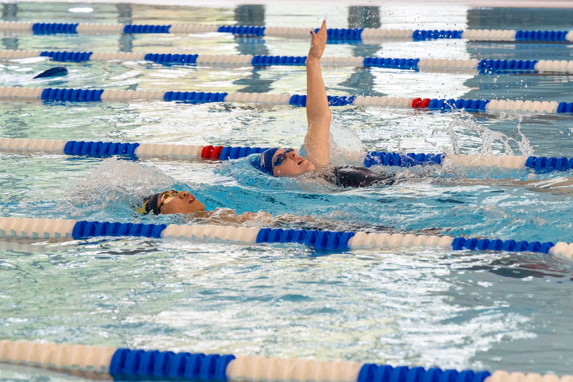 People swimming in backstroke.